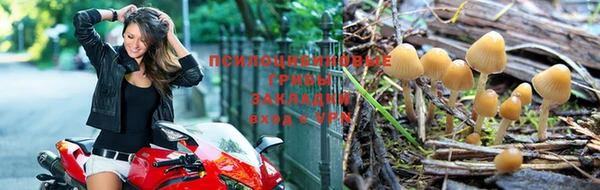 Альфа ПВП Абаза