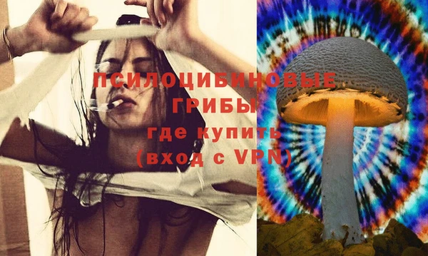 Альфа ПВП Абаза
