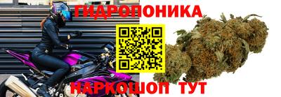 мдпв Шебекино