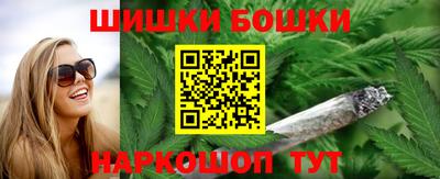 гашик Шелехов