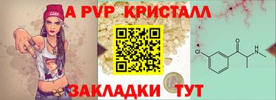 гашик Шелехов