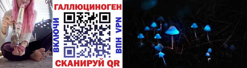 Псилоцибиновые грибы Cubensis  купить  цена  blacksprut как зайти  Архангельск 
