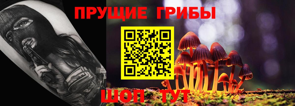 Архангельск  Галлюциногенные грибы ЛСД  Вход с VPN 